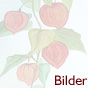 Bilder